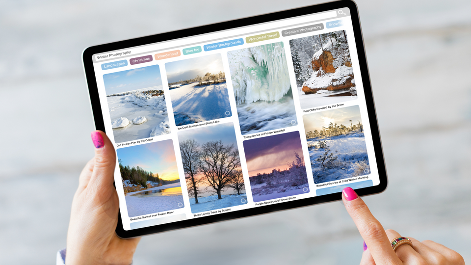 15 Essential Tips for Buying Art Online
